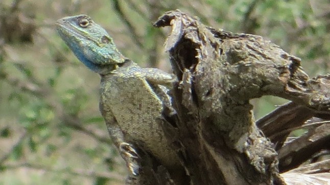 Blir det bra så här, eller vill ni ha annan färgsättning?