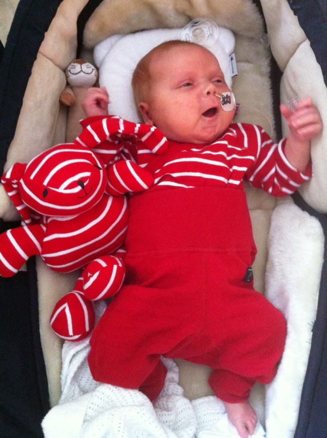 Polarn och Pyret rockar loss